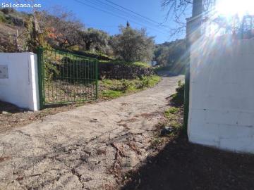 Sayalonga, Málaga, Andalucía, Andalucía