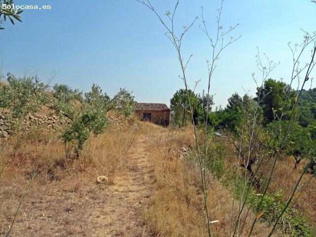 Casa de campo con proyecto para la construcción de una vivienda de 143m2