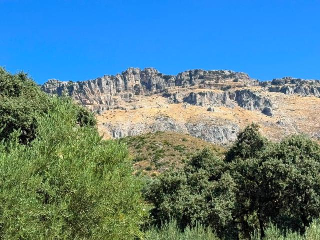 Casa de campo de obra nueva con 120 olivos en producción, documentación en regla y vistas al Torcal y mar