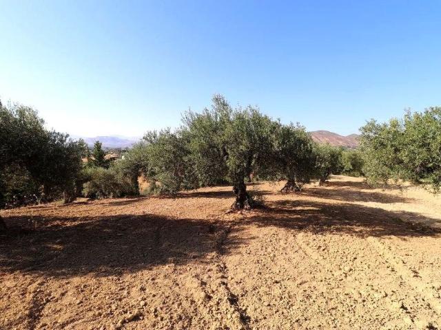 Casa de campo de alto standing de 175 m2 en venta Alhaurín el Grande, España