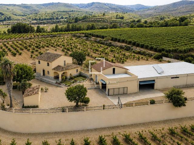 Casa de campo de alto standing de 229 m2 en venta Bisbal del Panadés, Cataluña