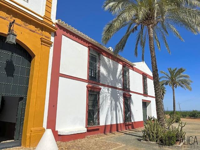 Casa de campo de alto standing de 2887 m2 en venta Carmona, Andalucía