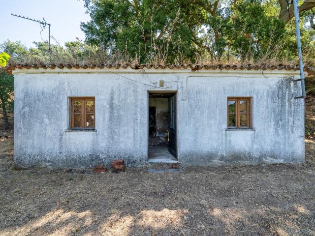 Casa de campo em Monchique para recuperar 63m² Monchique
