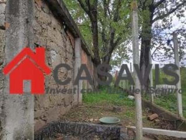 Casa de Campo em ruinas com Quinta com arvores de fruto