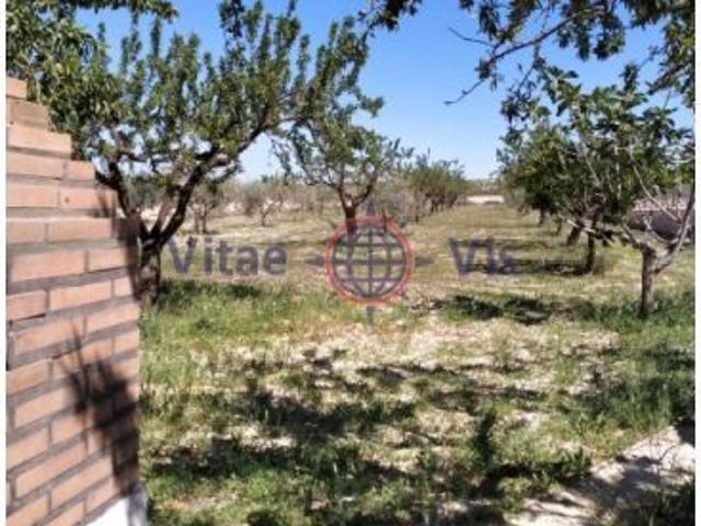 CASA DE CAMPO EN PARCELA 6.000 M2 VALLADOS EN AVILES