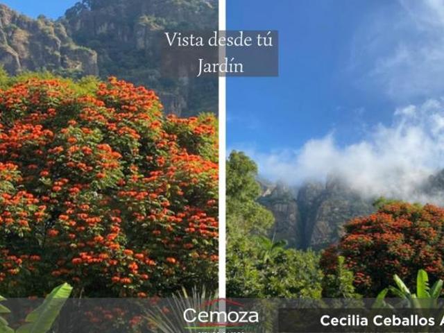 Tepoztlan Terreno