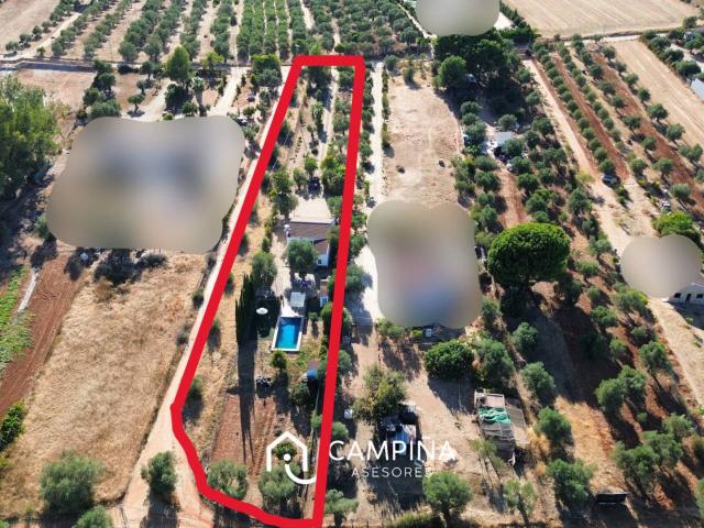Casa de campo en Trigueros