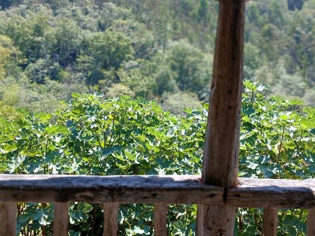 Casa de campo en venta. CANGAS DE ONíS