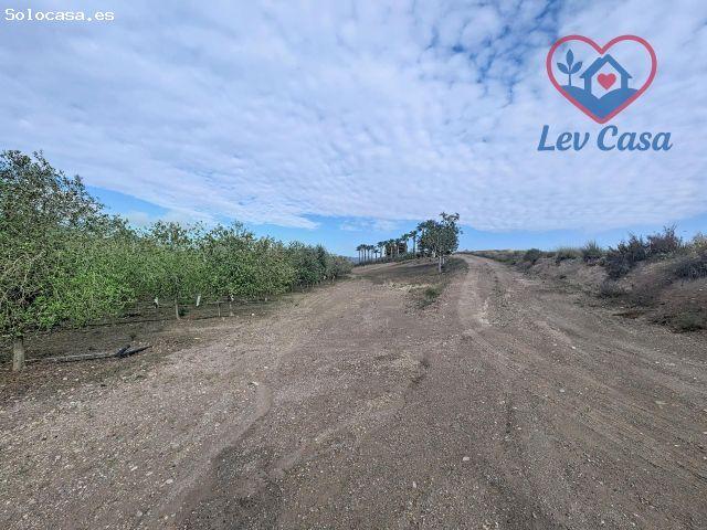Casa de campo en venta en Atalaya, Mazarrón, con 18.000 m2 de parcela, olivos y total autonomía