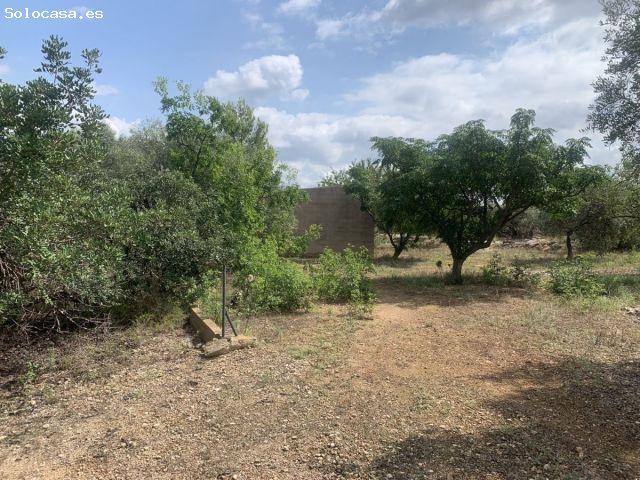 Casa de campo en Venta en Aldover, Tarragona