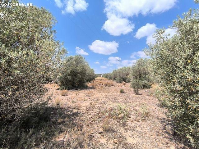 Casa de campo en Venta en Caudete, Albacete