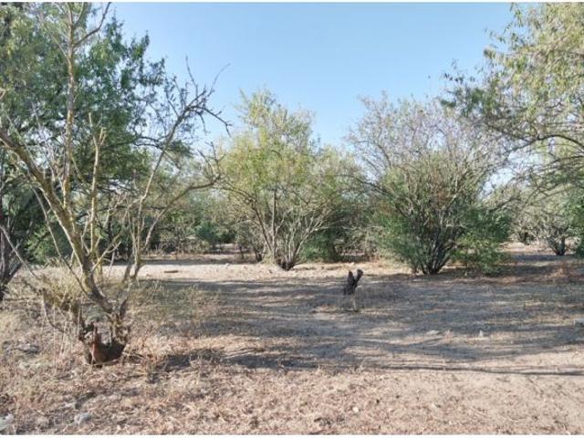 Casa de campo en Venta en Sanlúcar de Barrameda, Cádiz