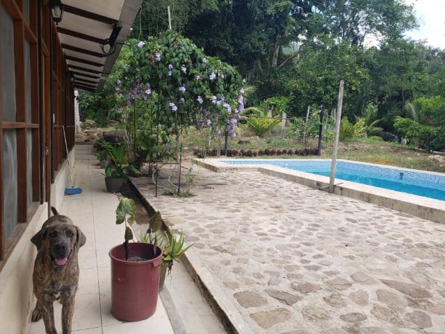 CASA DE CAMPO FAMILIAR EN SAN ANTONIO DE CUMBAZA