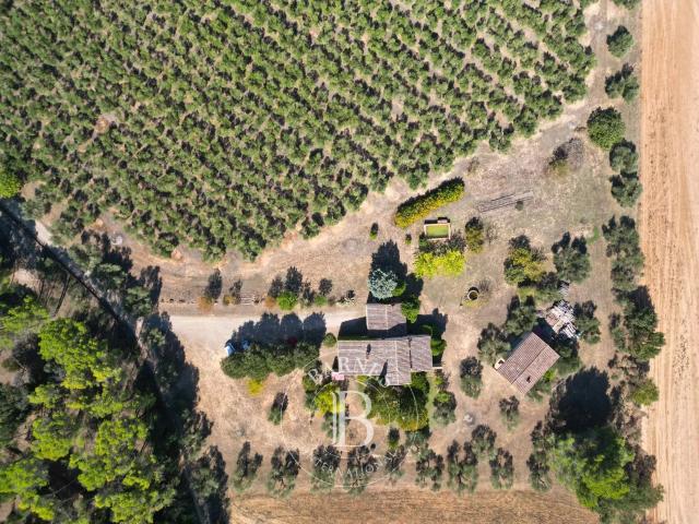 Casa de campo rodeada de olivares en el corazón del Triángul. 211m² Canapost