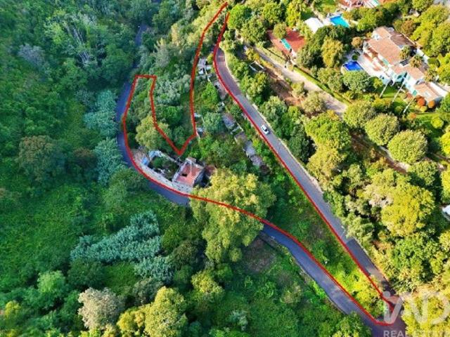 Casa de Campo T4 em Sintra Santa Maria e São Miguel, São Martinho e São Pedro de Penaferrim de 1254,00 m²