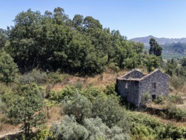 Quinta de 9,45 ha com Ruínas na Serra da Estrela