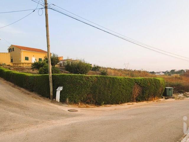 Casa de Campo T3 em Lamas e Cercal