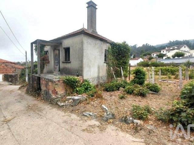 Casa de Campo T3 em São Paio de 57 m²