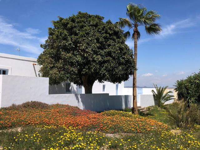 Casa de Campo Venta Almería