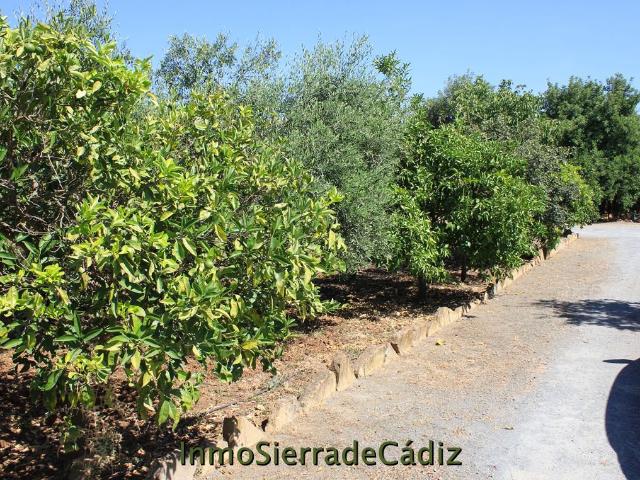 Casa de Campo Venta Sevilla