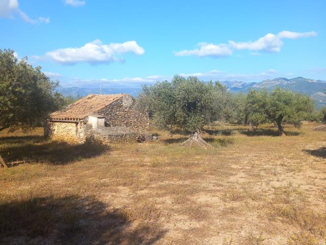 Casa de Campo Venta Tarragona