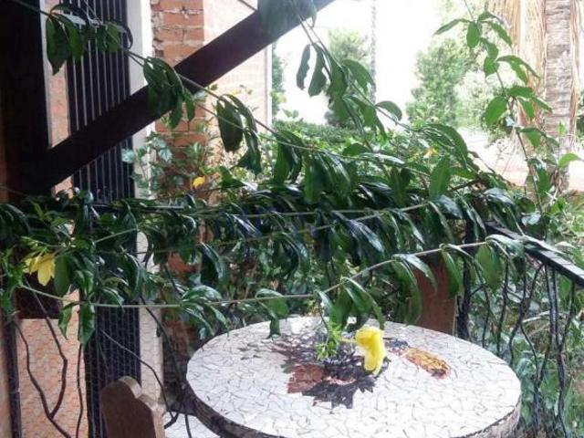 Casa de Condomínio com 4 quartos, Jardim Elite, Pirassununga R$ 900 mil, Cod: 10132277