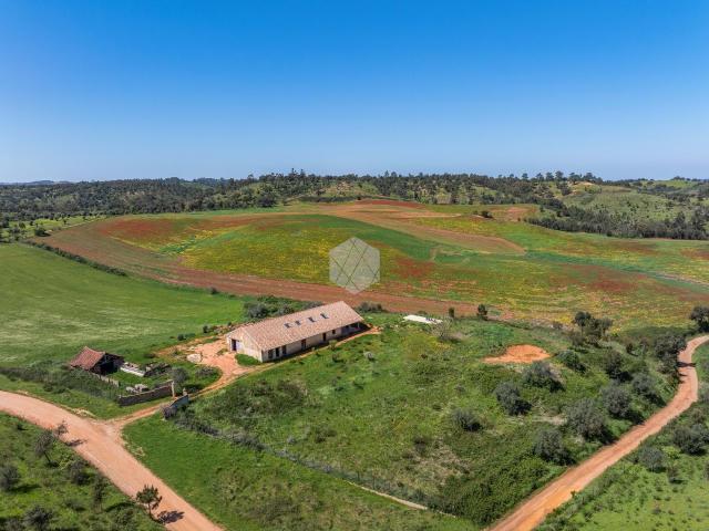Casa de fazenda para reformar em um grande terreno no Alentejo