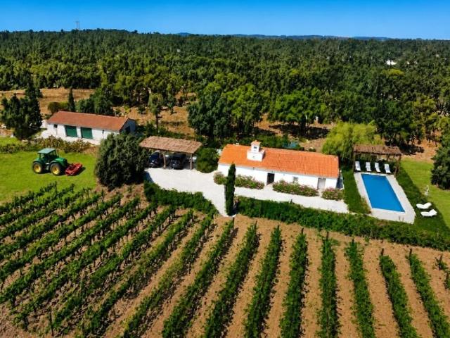 Casa de luxo de 130 m² à venda Santiago do Cacém, Setúbal