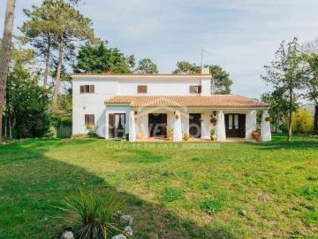 Faúlha, Castelo, Sesimbra