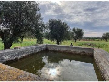 Casa de luxo de 297 m² à venda Reguengos de Monsaraz, Évora