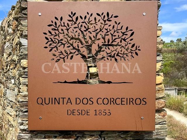 Casa de 343 m² à venda Peso da Régua, Portugal