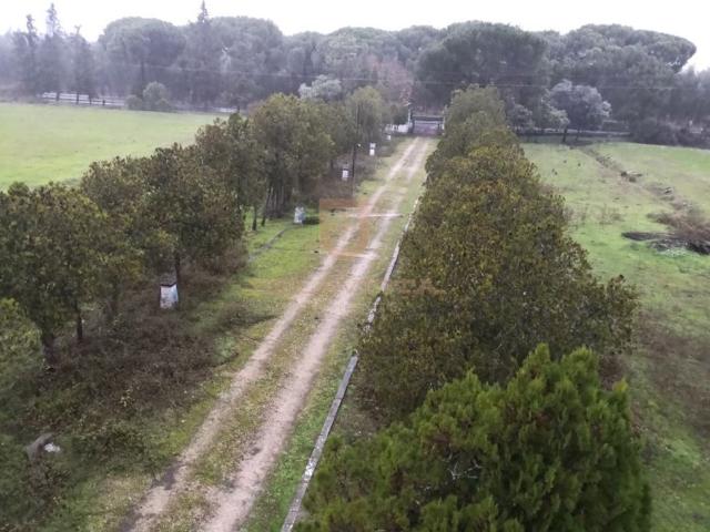 Casa de prestígio de 433 m² à venda Montijo, Setúbal