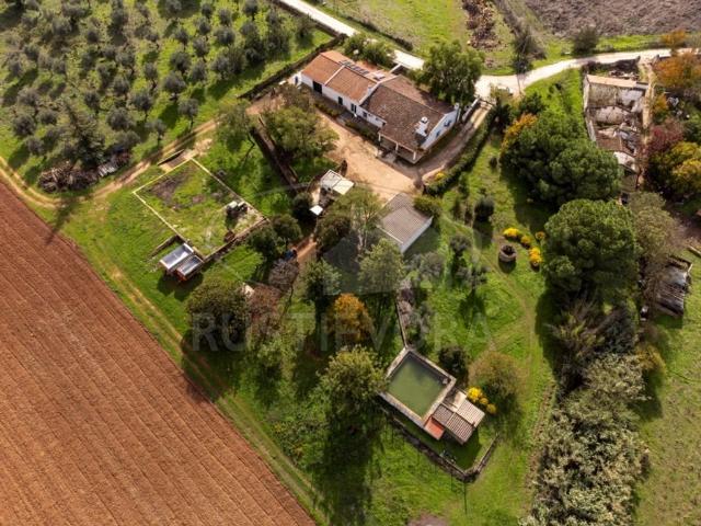 Casa de luxo de 485 m² à venda Borba, Portugal