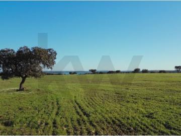 Casa de luxo de 500 m² à venda Reguengos de Monsaraz, Portugal
