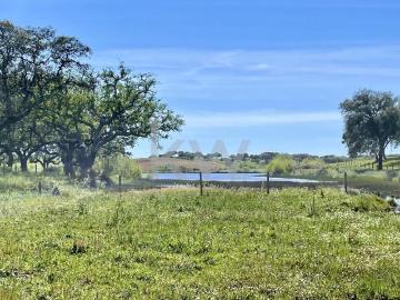Casa de luxo de 550 m² à venda Montemor o Novo, Portugal