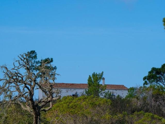 Casa de luxo de 63 m² à venda Alfambras, Aljezur, Faro