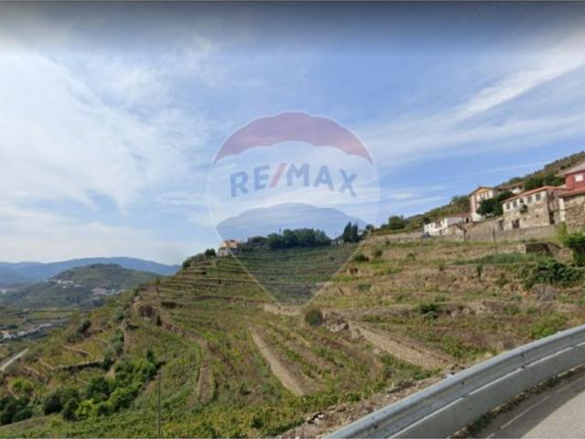 Casa de luxo de 70000 m² à venda Santa Marta de Penaguião, Vila Real