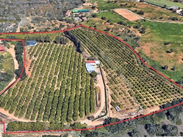 Prestigiosa casa de 75 m² à venda Pera, Silves, Faro