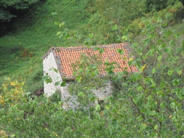 Casa de pueblo en venta. CABRALES