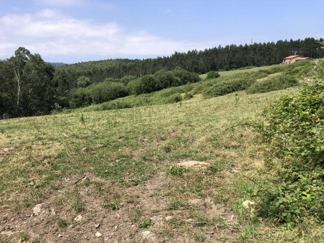 Casa de pueblo en Venta en Concha, La Villaescu Cantabria