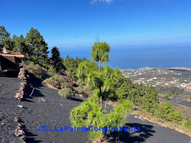 Casa de pueblo en Venta en Paso, El Santa Cruz de Tenerife