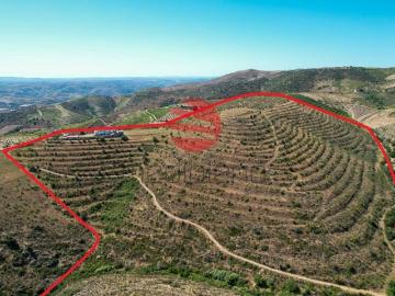 Freixo de Numão, Mura e Freixo de Numão, Distrito de Guarda