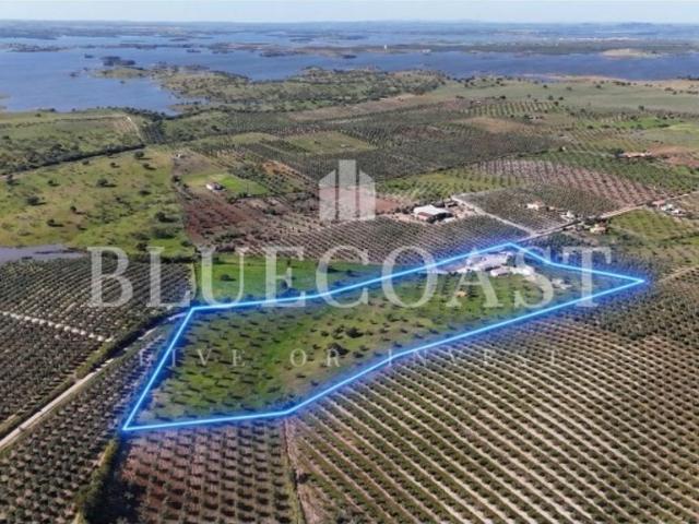 Casa de prestígio de 500 m² à venda Moura, Portugal