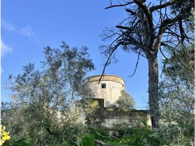 Prestigiosa casa de 565 m² à venda Évora