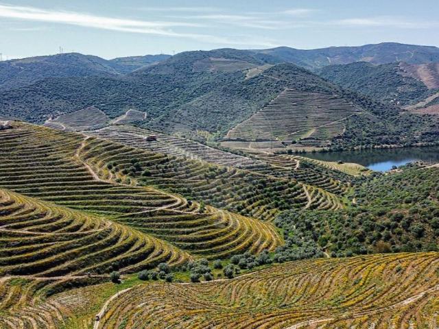 Casa de prestígio de 666992 m² à venda Torre de Moncorvo, Bragança