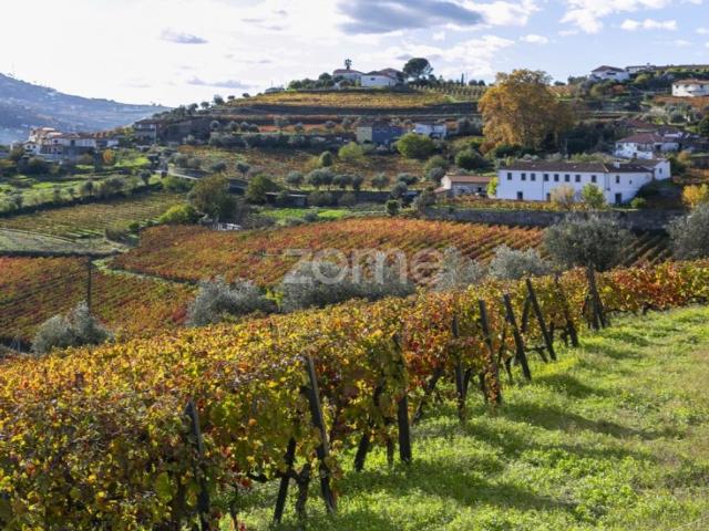 Casa de prestígio de 1020 m² à venda Peso da Régua, Portugal