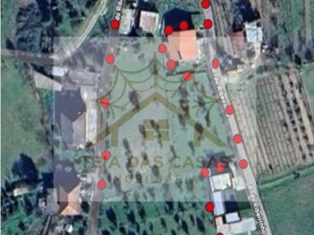 Casa de 1200 m² à venda Mangualde, Viseu