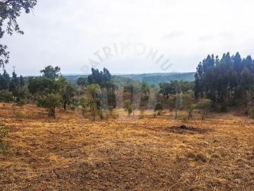 Casa de prestígio de 12 m² à venda Santiago do Cacém, Setúbal