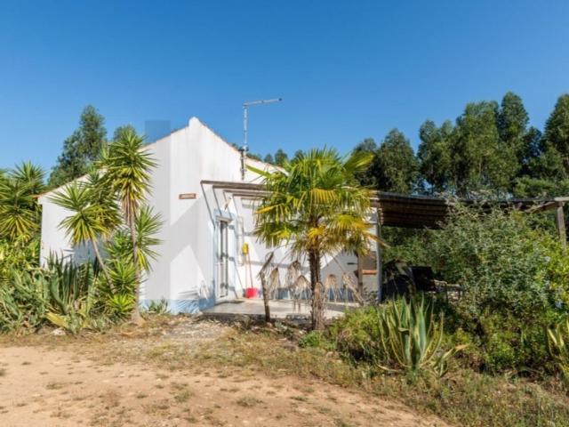 Prestigiosa casa de 470 m² à venda Santiago do Cacem, Santiago do Cacém, Setúbal