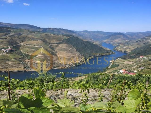 Casa de prestígio de 200 m² à venda Tabuaço, Portugal